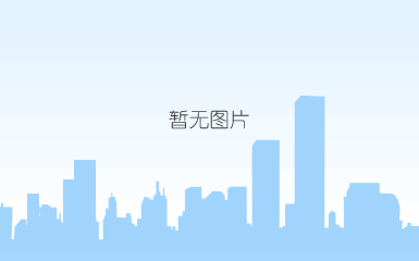alessandra rinaudo 2017婚纱礼服系列二